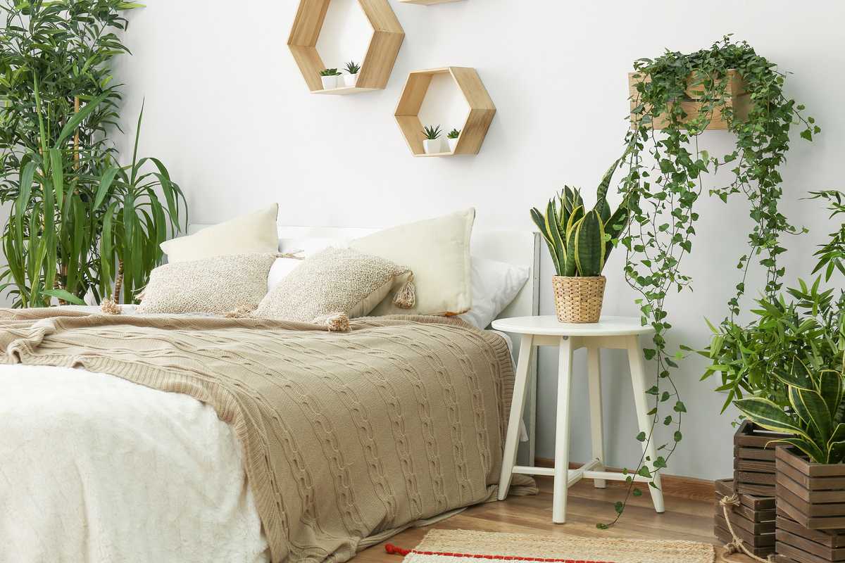Bedroom with plants.