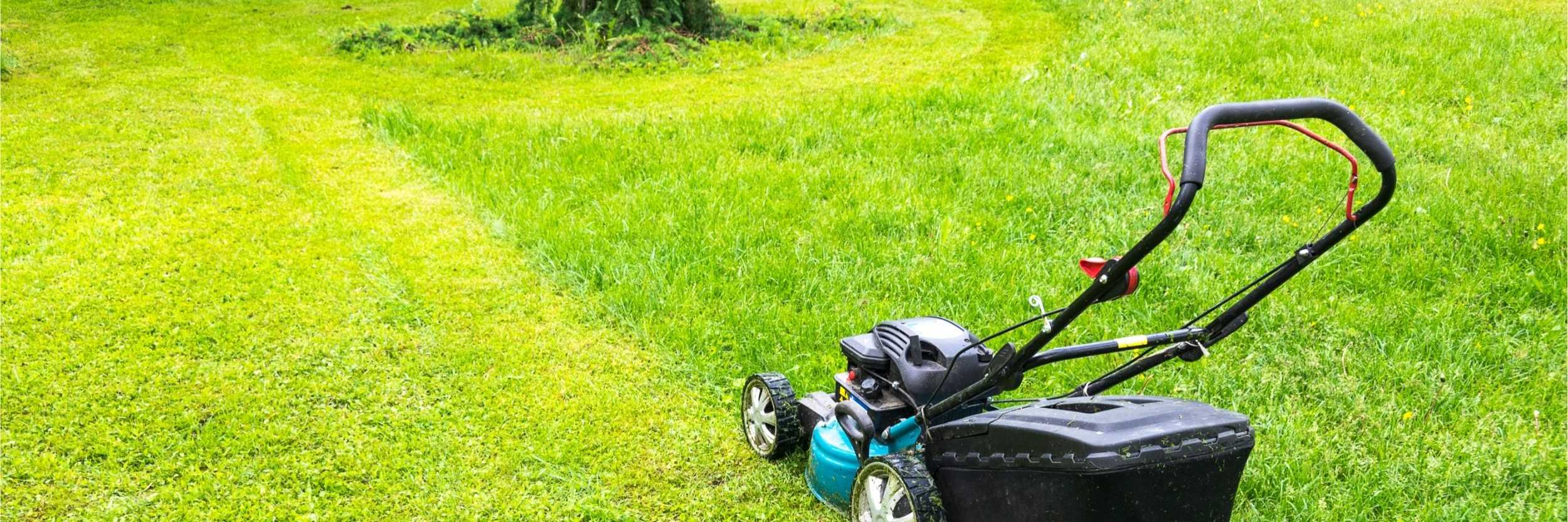 Best time to buy a lawn mower