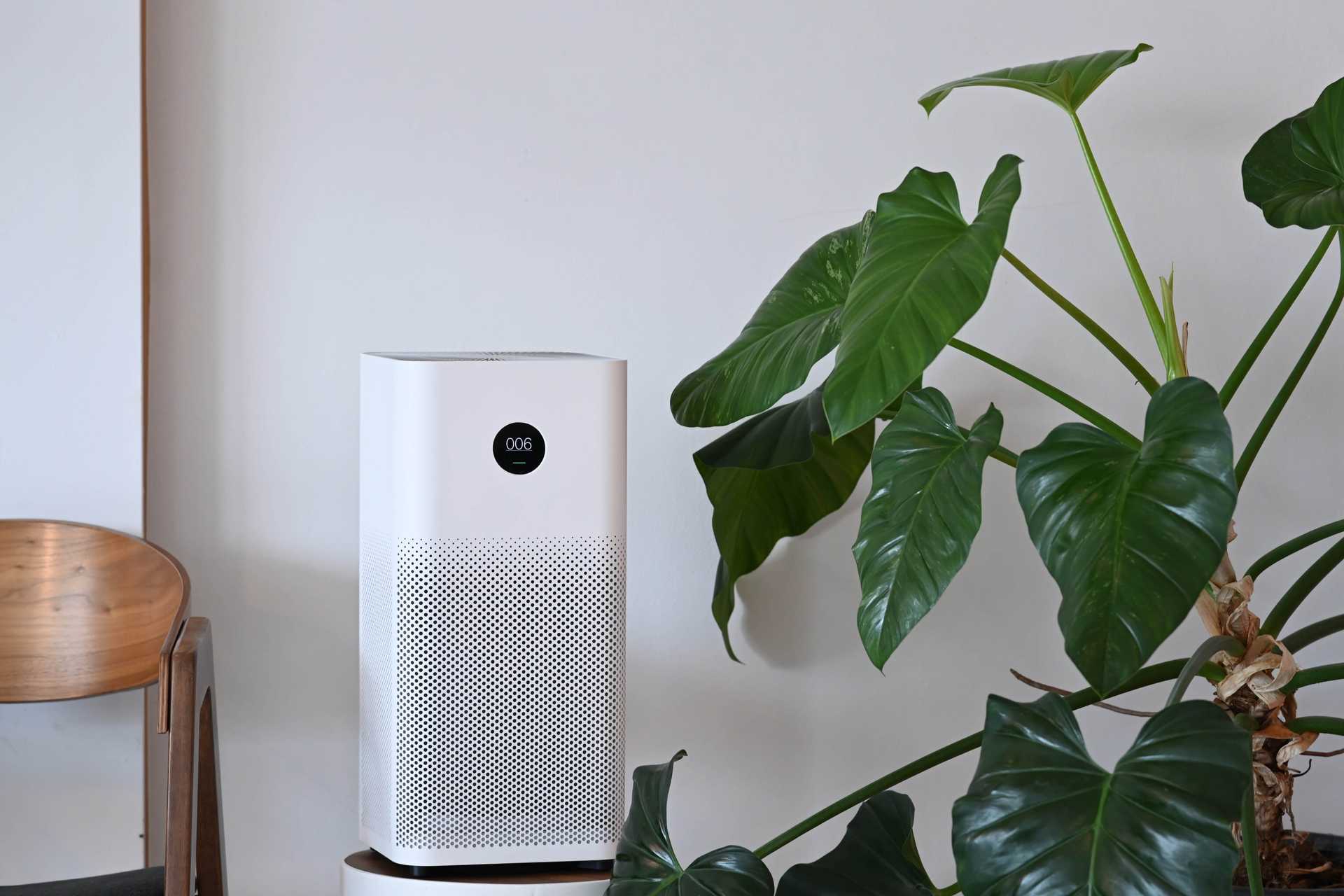 the best time to buy an air purifier