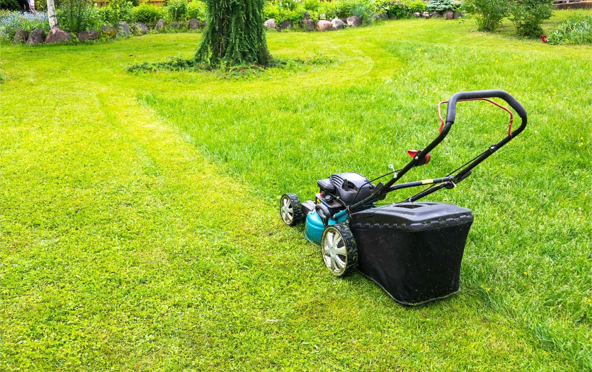 the best time to buy a lawn mower